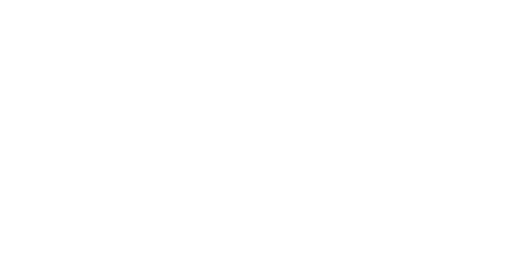Brick Tanks Online